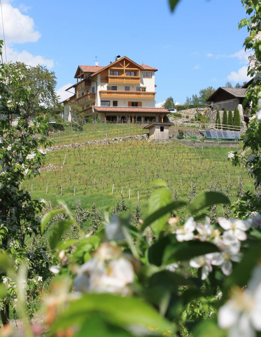 Trinnerhof- Hof Chalets Und Obsthof Mit Zimmer Natz-Schabs Ngoại thất bức ảnh